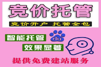 精准投放，高效转化——sem竞价账户运营全记录